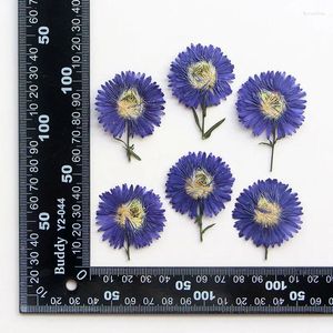 Decoratieve bloemen 120 stks geperste gedroogde 3-5 cm blauwe bloem stengel blad herbarium hars epoxy sieradenkaart bookmark frame telefoonhoes make-uplamp
