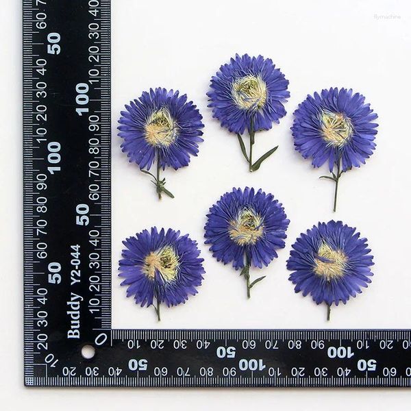 Fleurs décoratives 120pcs pressés séchés 3 à 5 cm de fleur bleu feuille de feuille d'herbarium résine époxy carte bijoux de bijoux de bijoux cachet casse de téléphone lampe de maquillage lampe