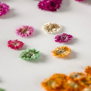 Fleurs décoratives 120 pièces pressées séchées Anaphalis fleur herbier pour Nail Art visage maquillage résine époxy bijoux cadre téléphone étui artisanat bricolage