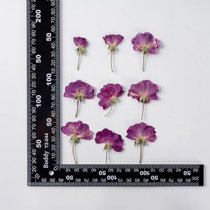 Flores decorativas 120 piezas Flor de flores secas prensadas Herbarium de rosa morada para joyería epoxi estuche por teléfono maquilladora artesanía de uñas bricolaje