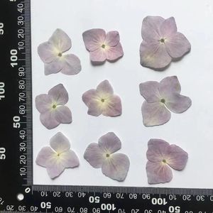 Decoratieve bloemen 120 stks Gedrukte Natuurlijk Hydrangea Flower Herbarium voor Epoxy Resin Sieraden Bookmark Telefoon Case Face Makeup Nail Art