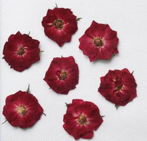 Fleurs décoratives 120pcs plantes de fleurs de rose séchées pressées herbier pour la résine époxy bijourie fabriquant un signet de téléphone maquille