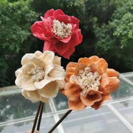 Flores decorativas 12cm / 2PCS Artesanía natural Flor de magnolia Flor seca Rama Alambre Tallo Navidad Hallowee Exhibición Boda Decoración del hogar