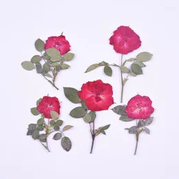 Decoratieve bloemen 12 stks/5-8 cm Natuur geperste rode rozen met filiaal Diy Wedding uitnodigingen Craft Bookmark Gift Cards Telefonisch decor Decor
