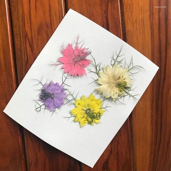 Fleurs décoratives 12pcs séchés pour les décorations d'art de bougie