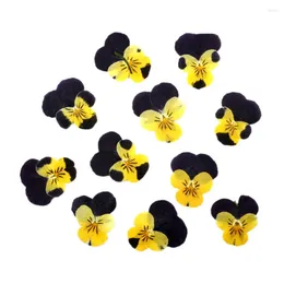 Fleurs décoratives 12pcs pressés pressés violets jaune panoramique corydalis suaveolens hance plantes de fleurs herbier pour bijoux en signet de carte postale