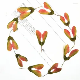 Fleurs décoratives 12pcs Maple à fleurs séchées pressées naturelles pour artisanat bricolage Artisanat Scrapbooking Embellissements