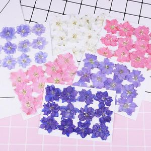 Decoratieve bloemen 12 stks geperste gedroogde bloemplant epoxy hars kaart telefoon bladwijzer specimen diy accessoires ambachtelijke materialen huizendecoratie