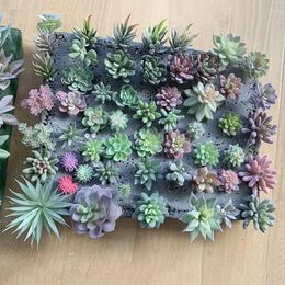 Fleurs décoratives 12pcs / ensemble Succulents artificiels Fake Faux Mini PVC Plantes florales simulées Craft Home Office Decor