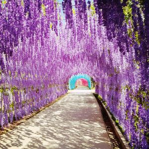 Decoratieve bloemen 12 stks Wisteria Vine Artificial Garden Outdoor Garland Arch Wedding Decor Hanging Rattan voor kamerhuisdecoratie