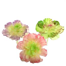 Fleurs décoratives 13 cm grande fleur plantes succulentes artificielles violet vert rose faux maison jardin décoration de mariage en plastique PVC