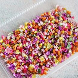 Decoratieve bloemen 140 stks/tas Gedroogde DIY Art Craft Epoxy Resin Candle Making Jewely Home Party Dry Press PO Prop