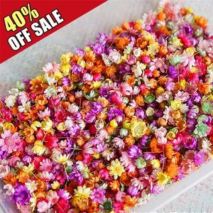 Fleurs décoratives 140pcs / sac séché multicolore mini bœuf artisanal artisanal faisant sec en relief pour la fête de la cour décorati