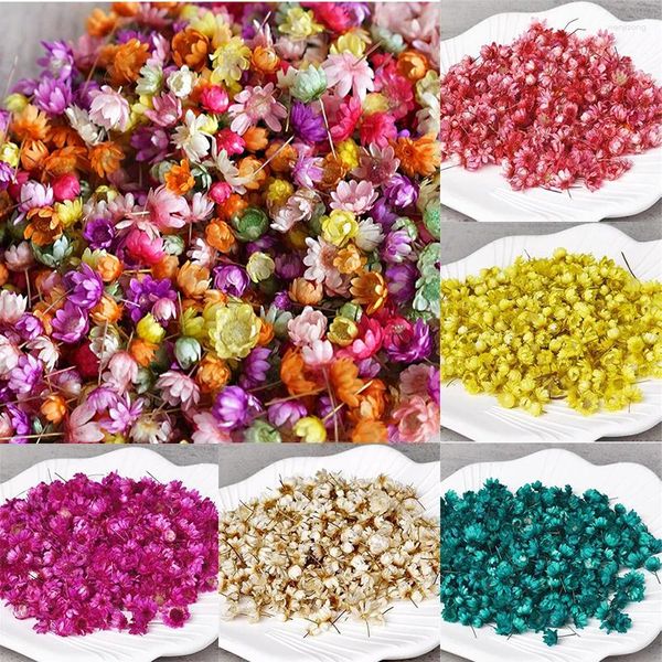 Fleurs décoratives 140pcs réels fleurs séchées petites étoiles têtes de fleur diy artisanat époxy résine bougie de fabrication de bijoux à la maison à la maison.