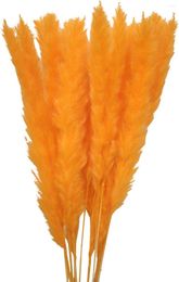 Decoratieve Bloemen 15 Stuks Gedroogd Pampas Gras Riet Voor Feest Vakantie Decoratie Thuis Oranje