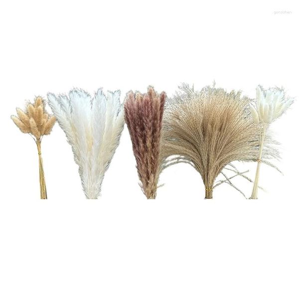 Fleurs décoratives 150PCS Herbe de pampa Boho Homedecor Décoration séchée Contient un décor brun blanc