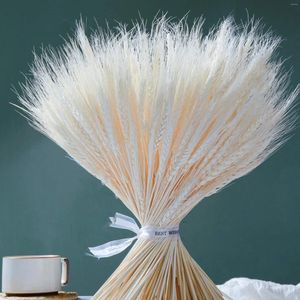 Fleurs décoratives 150pcs Real White Wheat Stands Natural Dried Oree of Grass Bundle for Home Table Flower Art Art Fall Wedding Decor