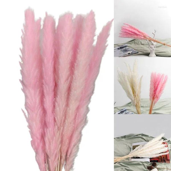 Fleurs décoratives 15 pièces herbe de Pampas séchée naturelle roseau bouquet de fleurs décors de mariage maison salon décoration vente artificielle