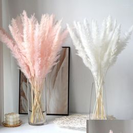 Fleurs décoratives 15pcs bouquet d'herbe de pampas pour la décoration de Noël de mariage naturel véritable phragmites moelleuses séchées Boho Home Garden Dhfoo