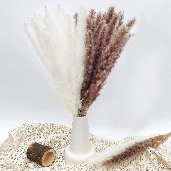 Flores decorativas 15 Uds Pampas hierba flor seca Natural pequeño ramo arreglo plantas Boho hogar boda florero decoración