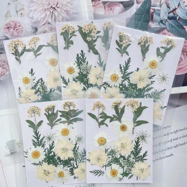 Fleurs décoratives 15pcs / ensemble Herbarium de plante de feuille de fleur séchée pressée pour bijoux Bookmark Poste Carte de téléphone Carte d'invitation DIY Design-5