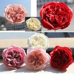 Fleurs décoratives 16 pièces 8 cm têtes de roses Austin artificielles tête de fleur éternelle pour toujours faux mariage cadeau de saint valentin