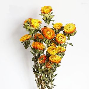 Decoratieve bloemen 1Bouquet Natuurlijke kleurrijke ananas Chrysanthemum Gedroogde bloemendiy Gift Huwelijkshuis Decoratie Creatieve bloem