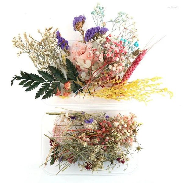 Fleurs décoratives 1 boîte de vraies fleurs séchées, fabrication de bougies faites à la main, pièce de cire, collier, bijoux artisanaux, accessoires matériels de bricolage