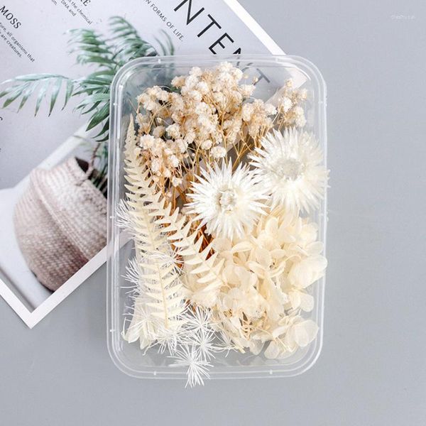 Fleurs décoratives 1 boîte blanc séché pour la fabrication de bougies à bricoler soi-même résine époxy moule bijoux accessoires mariage Bouquet décoration de la maison
