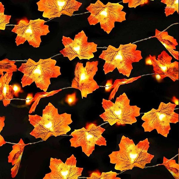 Fleurs décoratives 1m String artificielle avec LED LETUMS LETUNS AUTOM