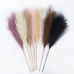 Fleurs décoratives 1pc 70cm artificiel Pampas Pampas Grass Mariage Décoration Simulation Bulrush Faux Plantes pour la maison Décor de salon Fake