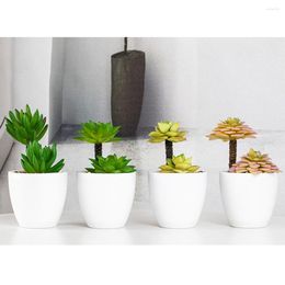 Fleurs décoratives 1PC mignon bonsaï en pot plantes vertes en plastique artificiel avec simulation de pot succulentes décoration de table décor de bureau à domicile