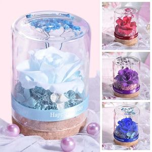 Fleurs décoratives 1pc fleur éternelle couverture en verre pour toujours rose pour la décoration de mariage naturel séché cadeau de la Saint-Valentin décor à la maison