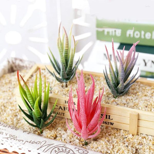 Fleurs décoratives 1pc mini aloe plantes succulentes