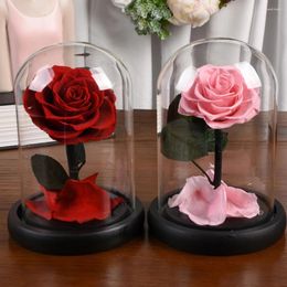 Fleurs décoratives 1pc Roses réelles en verre dôme pour toujours