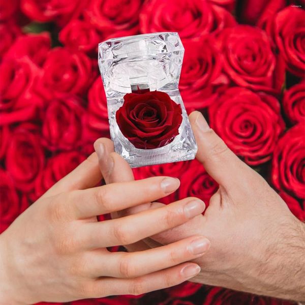 Fleurs décoratives 1pcs Immortels préservés Rose Fleur réelles Décorations fraîches Boîte cristalline Mariage Valentin Cadeaux créatifs d'anniversaire