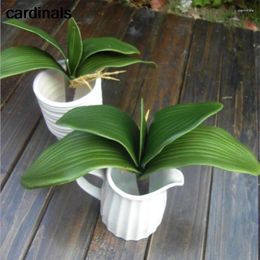 Fleurs décoratives 1pcs Real Touch Touch Artificial Green Butterfly Orchid Plastic Leaf Beauty Plant Decor For Wedding DIY COURNI