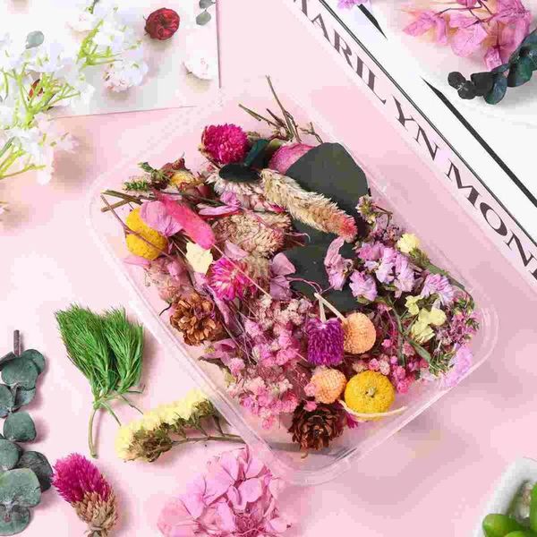 Fleurs décoratives 2 boîtes séchées réelles mixtes fleur naturelle matériau coloré pour la résine bijoux en résine