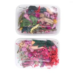 Fleurs décoratives 2 boîtes naturelles séchées pressées multiples feuilles colorées pour le scrapbooking bricolage de bijoux en résine artisanat rendant aléatoire