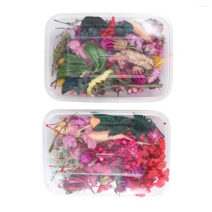 Flores decorativas 2 cajas Hojas de coloridas múltiples secas, secas, para álbumes de recortes de recortes, manifestas colgantes de joyas de resina que hacen que sean aleatorios
