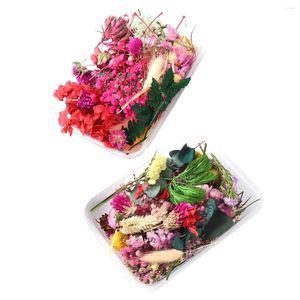 Fleurs décoratives 2 boîtes, véritables séchées colorées, presse sèche naturelle, bricolage pour bijoux d'ongles, résine époxy, fabrication de Scrapbooking