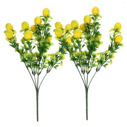 Fleurs décoratives 2 PCS Fruit Plant Decoration Home Decors