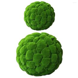 Decoratieve Bloemen 2 Stuks Gras Home Decor Ballen Kom Middelpunt Geconserveerde Tufting Planten Aquarium Vulstoffen