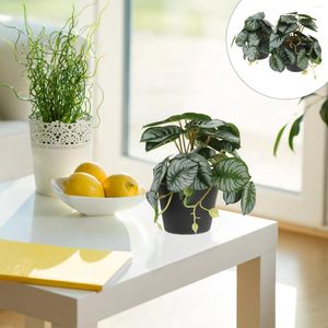 Flores decorativas 2 PCS Mini Plantas Suculentas Decoraciones de escritorio de oficina artificial Estimulación de árboles de fruta