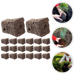 Fleurs décoratives 20 pcs culture pépinière blocs bloc nutritif cultiver éponges sol