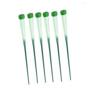 Fleurs décoratives 20 PCS Tubes en plastique Arrangement de la tige Flacon Vase transparent Eau verte Asclépiade Boutures Flacons Floral