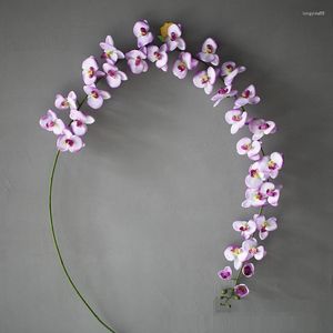 Fleurs décoratives 200 cm soie orchidée chaîne vignes plantes vertes fleur artificielle décoration intérieure et extérieure Simulation plante rotin