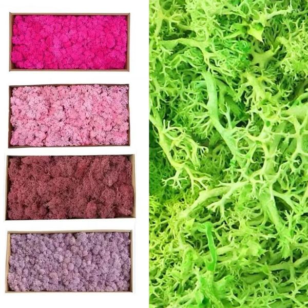 Flores decorativas 200 g de hierba falsa manualidades DIY vida eterna musgo plantas verdes artificiales para el hogar sala de estar decoración del jardín mini paisaje