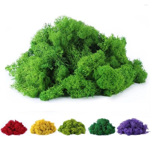 Fleurs décoratives 200g Fake Moss Moss Artificial Eternal Life Grass for Potted Plantes DIY Home Decor Mini Garden Micro Landscape Wall