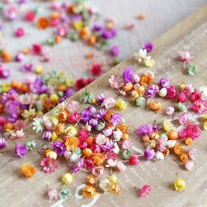 Decoratieve Bloemen 2023 0.5-1cm Gedroogde Diy Art Craft Epoxyhars Kaarsen Maken Sieraden Thuis Party Bloem Decoratie Sale